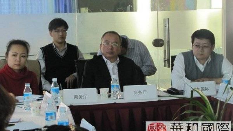 可行性研究报告代写：揭秘专业流程与关键步骤